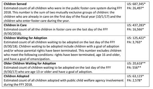 National Adoption Statistics